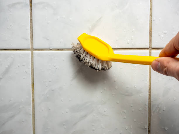Best Health and Safety Mold Remediation in Sandia Heights, NM